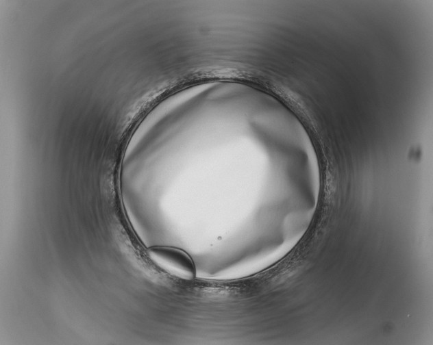 X0000114990394200911161518