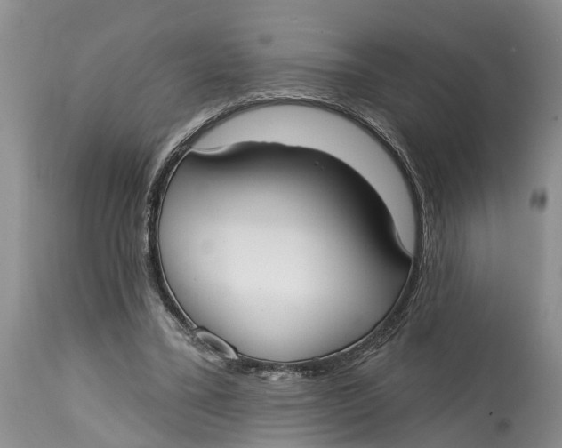 X0000114990395200911161518