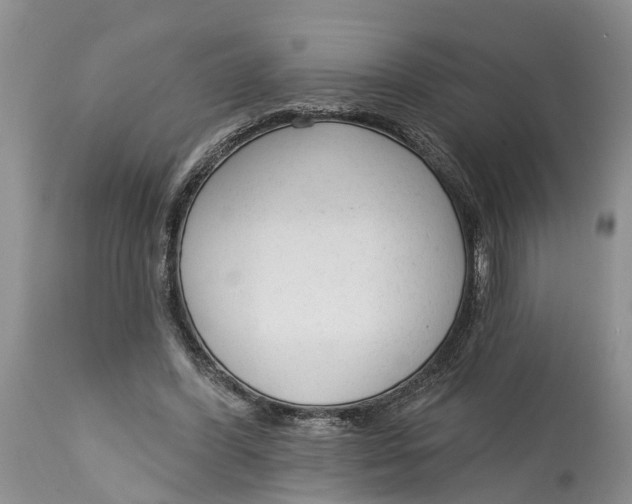 X0000114990396200911161518