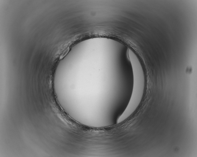 X0000114990401200911161518