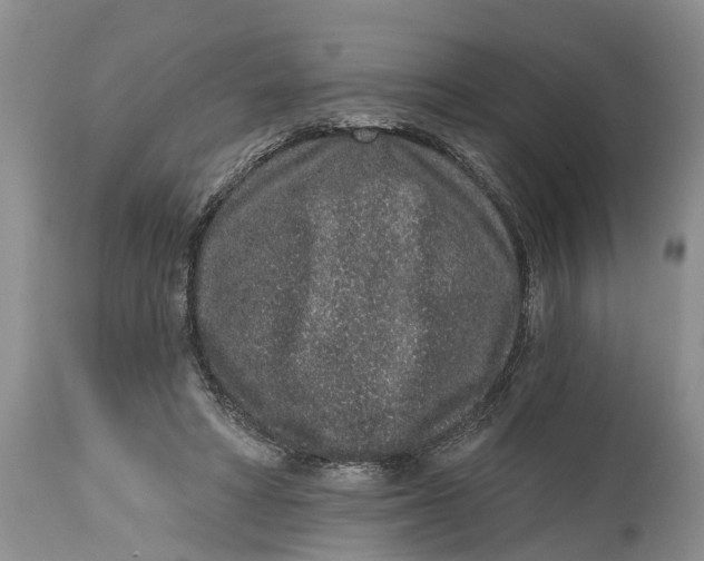 X0000114990402200911161518