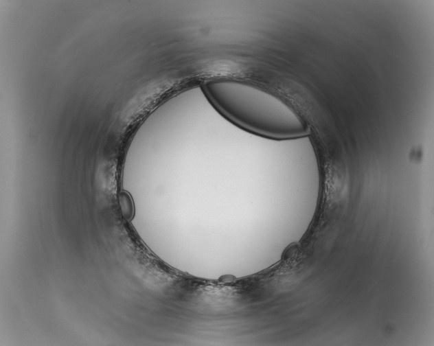 X0000114990403200911161518