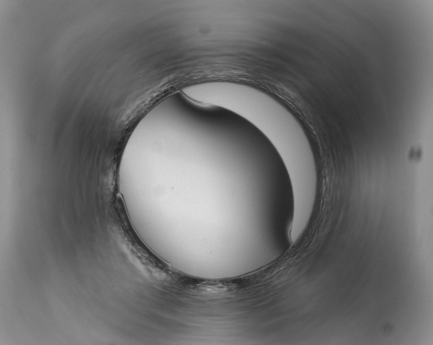 X0000114990405200911161518