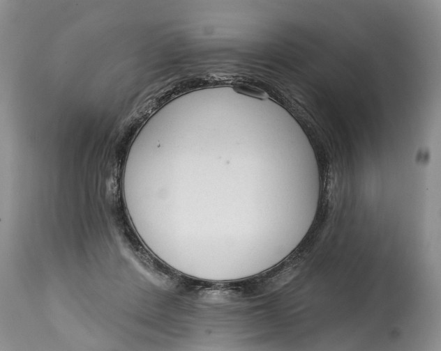 X0000114990408200911161518