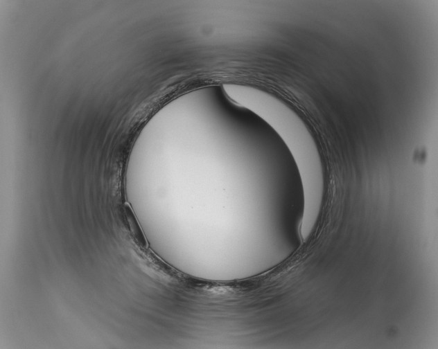 X0000114990409200911161518