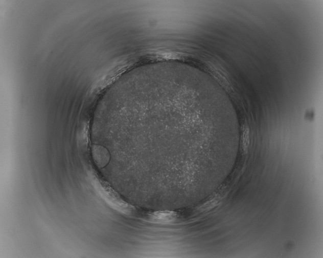 X0000114990410200911161518