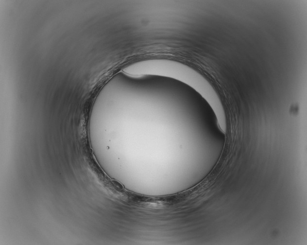 X0000114990411200911161518