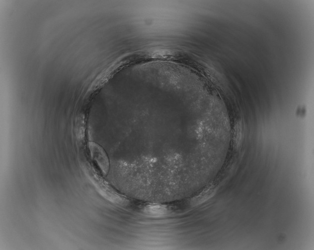 X0000114990413200911161518