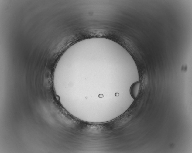 X0000114990414200911161518