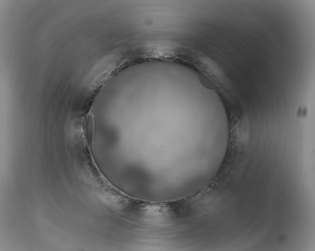 X0000114990415200911161518