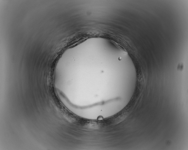 X0000114990416200911161518