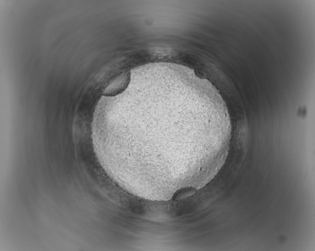 X0000114990417200911161518