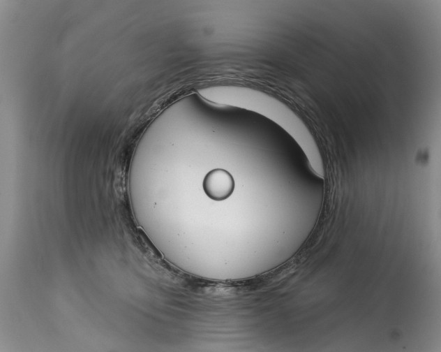 X0000114990419200911161518