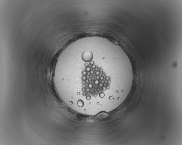 X0000114990420200911161518