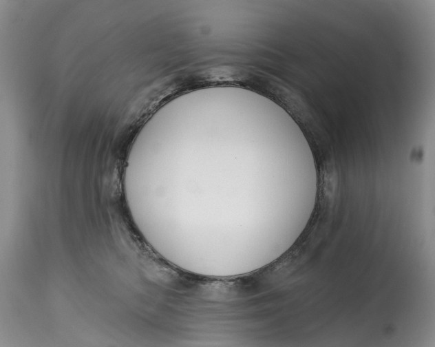 X0000114990422200911161518