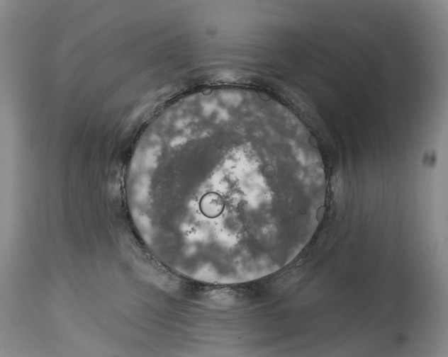 X0000114990423200911161518