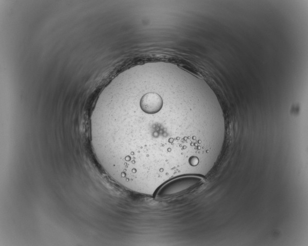 X0000114990424200911161518