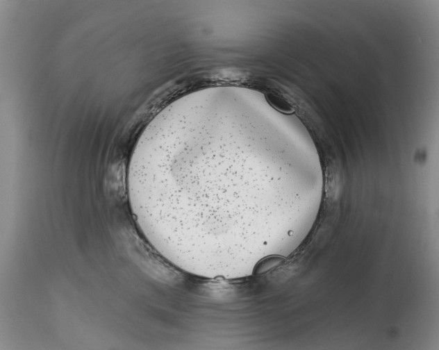 X0000114990425200911161518