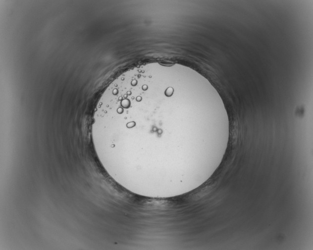 X0000114990428200911161518