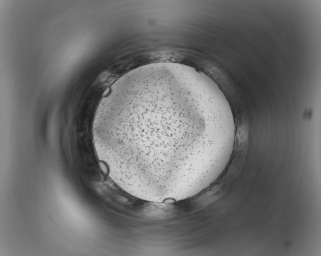 X0000114990429200911161518