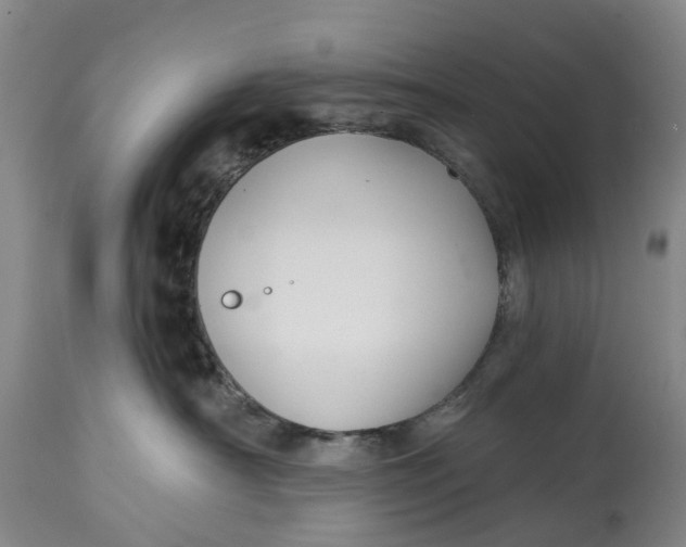 X0000114990430200911161518