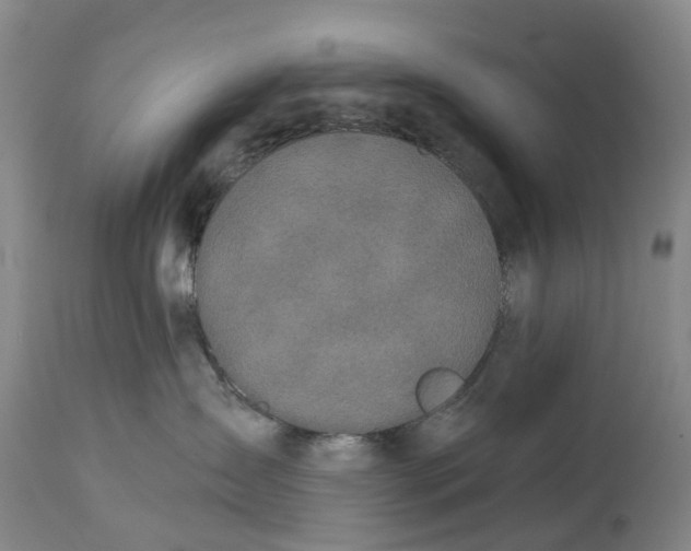 X0000114990431200911161518