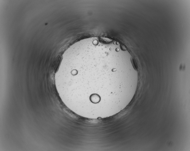 X0000114990432200911161518