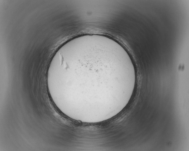 X0000114990433200911161517