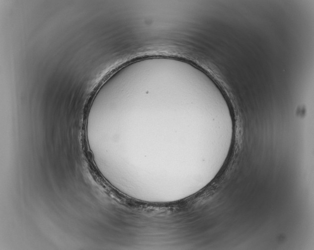 X0000114990434200911161517