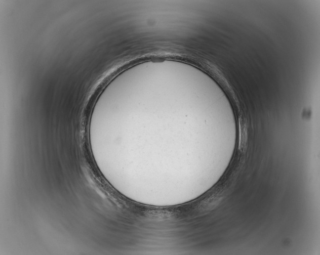 X0000114990435200911161517