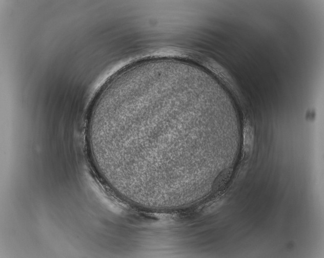 X0000114990436200911161517