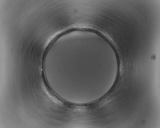 X0000114990438200911161517