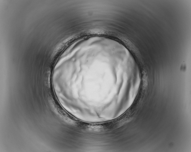 X0000114990446200911161517