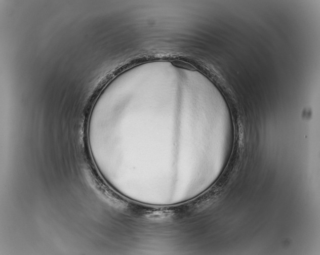 X0000114990447200911161517