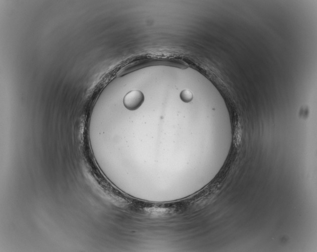 X0000114990448200911161517