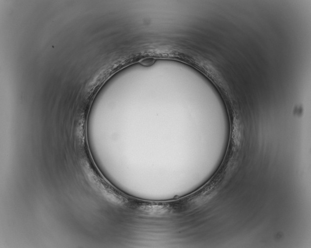 X0000114990449200911161517