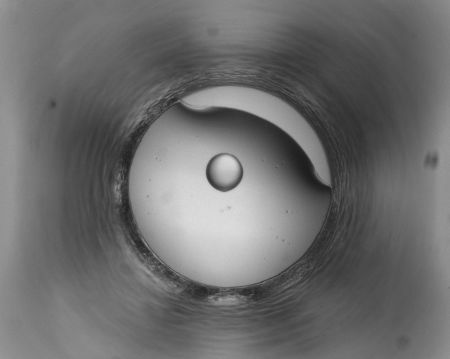 X0000114990452200911161517