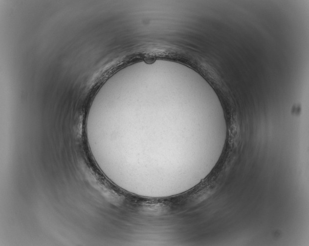 X0000114990454200911161517