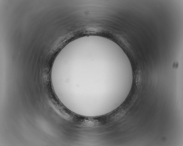 X0000114990455200911161517