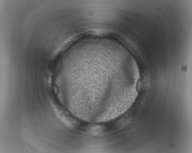 X0000114990456200911161517