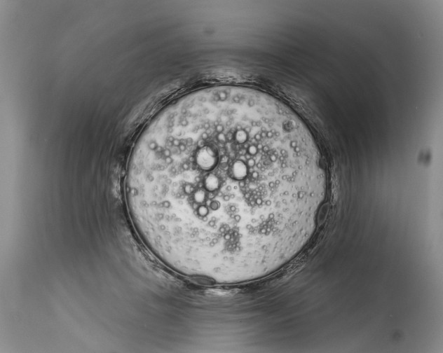 X0000114990457200911161517