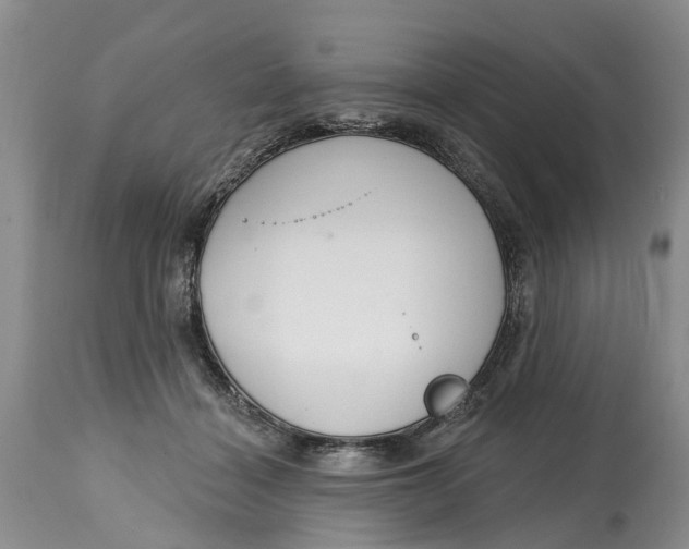 X0000114990460200911161517