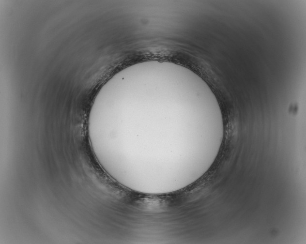 X0000114990464200911161517