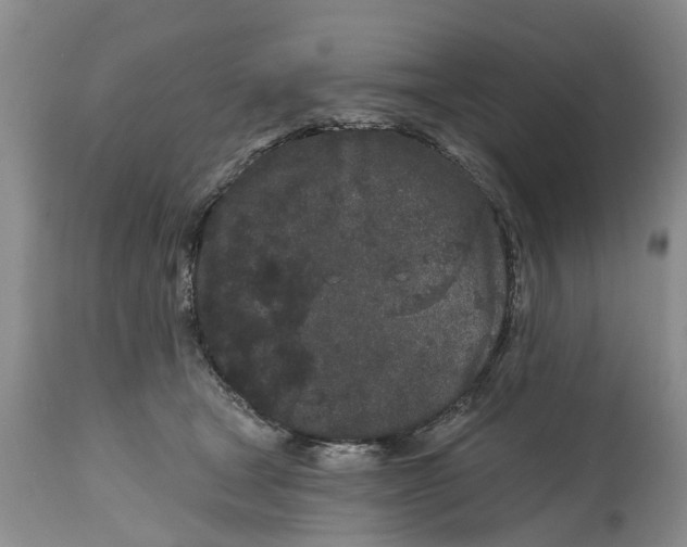 X0000114990465200911161517