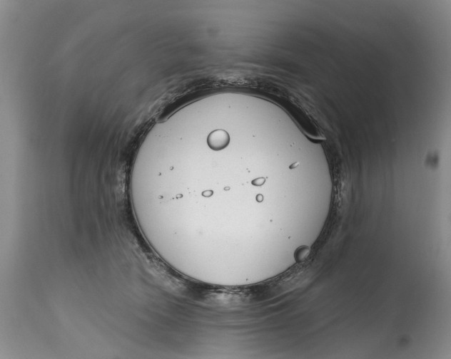 X0000114990466200911161517