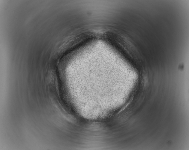 X0000114990467200911161517