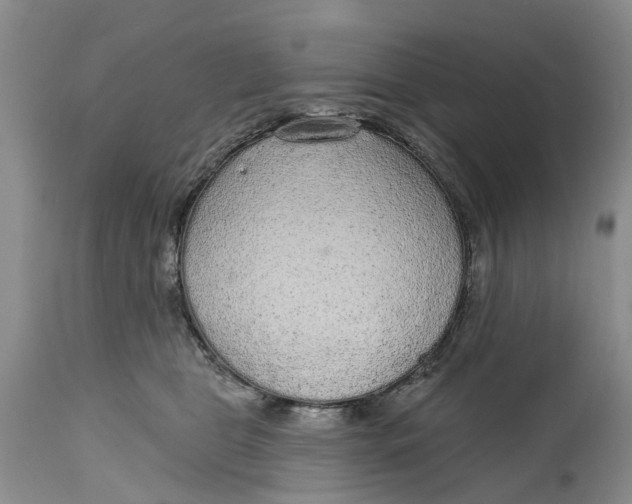 X0000114990469200911161518