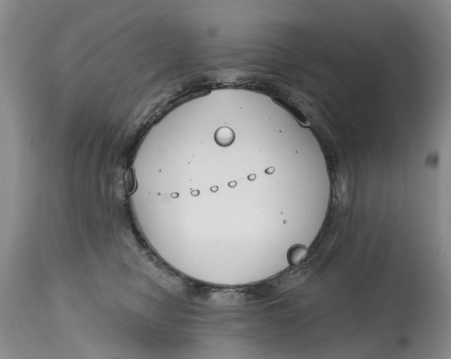 X0000114990470200911161518