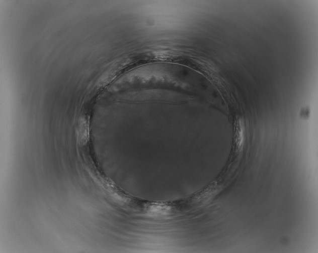 X0000114990471200911161518