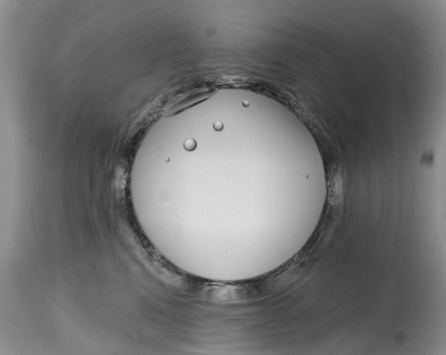 X0000114990472200911161518